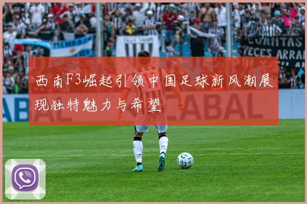西南F3崛起引领中国足球新风潮展现独特魅力与希望
